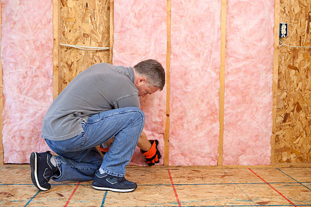 Types of Insulation We Offer in Dequincy, LA